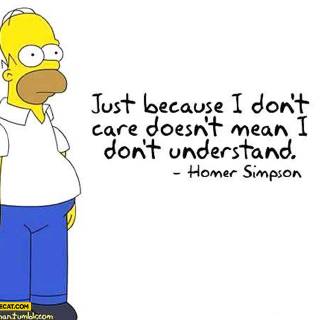 homer dont care