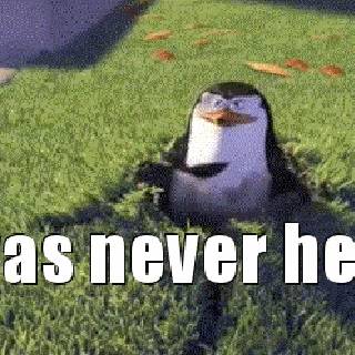 i was never here